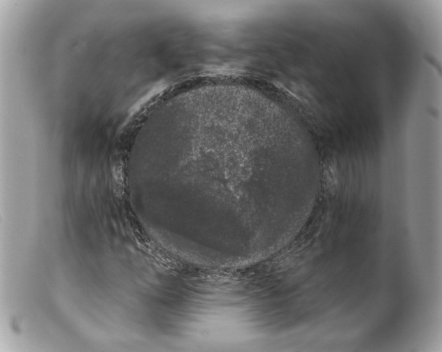 X0000099561254200805301534