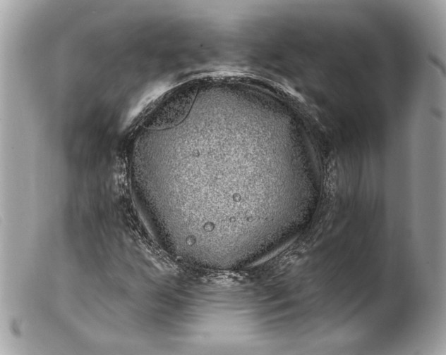 X0000099561255200805301534