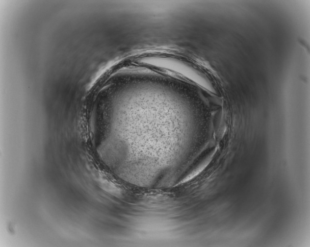 X0000099561256200805301534