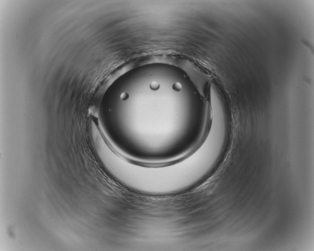 X0000099561257200805301534