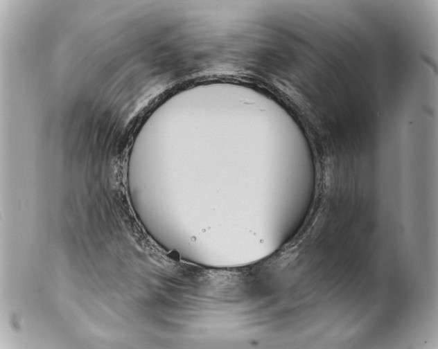 X0000099561258200805301534