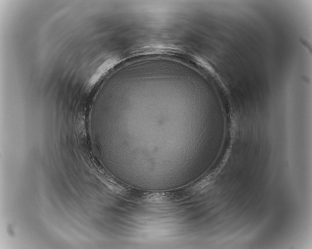 X0000099561259200805301534