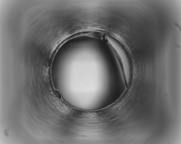 X0000099561260200805301534