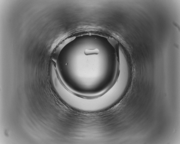 X0000099561261200805301534