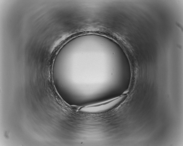 X0000099561262200805301534