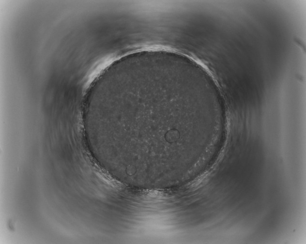 X0000099561263200805301534