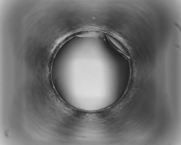 X0000099561264200805301534