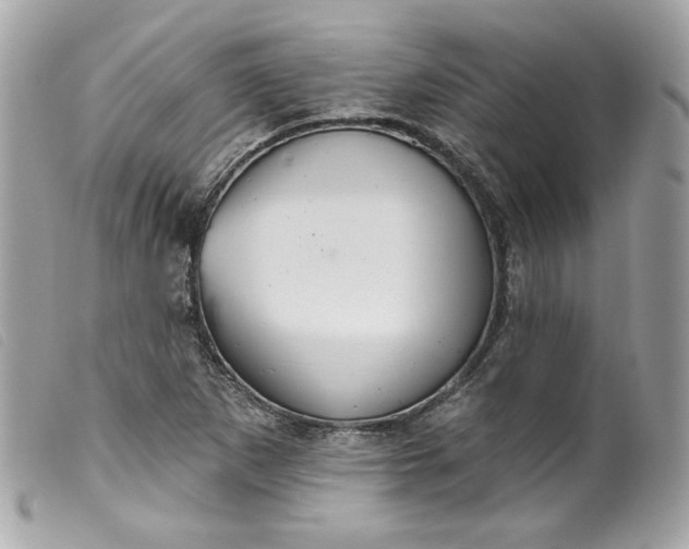 X0000099561265200805301534