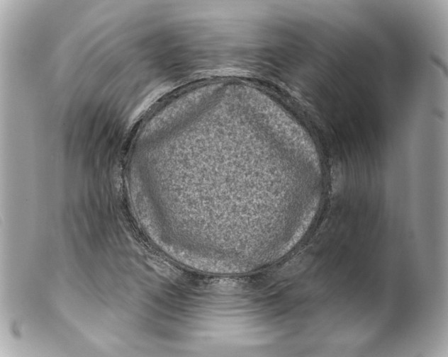 X0000099561266200805301534