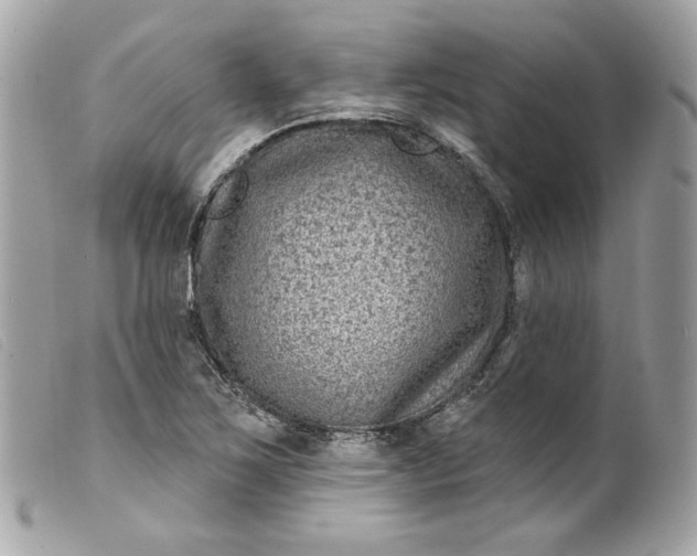 X0000099561267200805301534