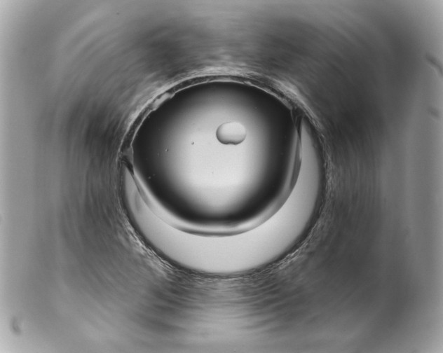 X0000099561268200805301534