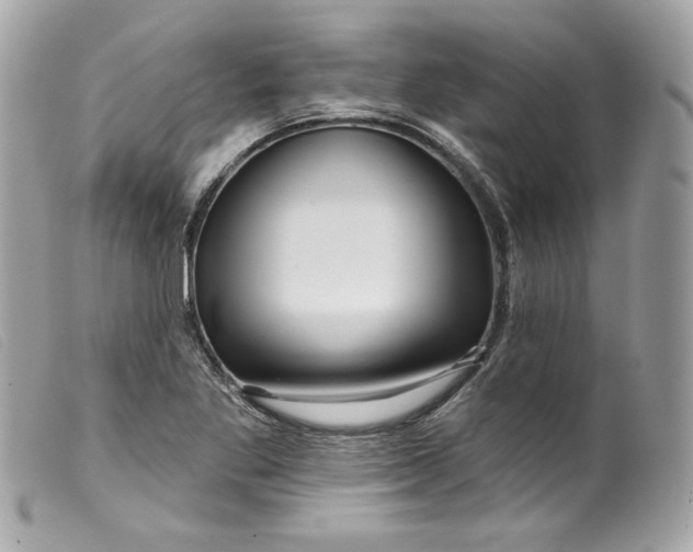 X0000099561269200805301534