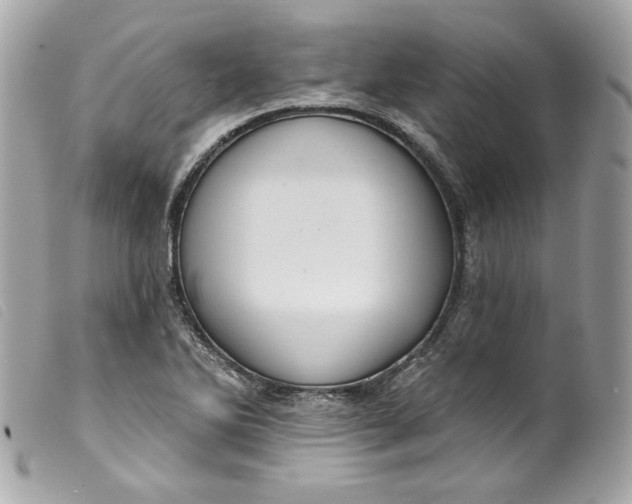 X0000099561270200805301534