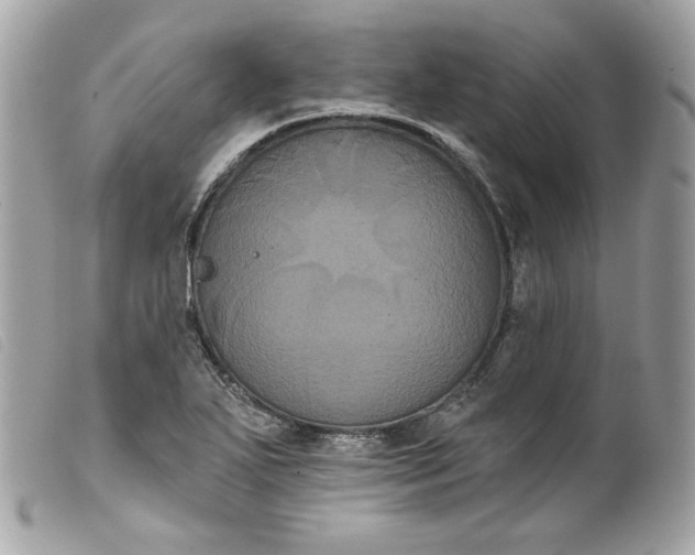 X0000099561271200805301534