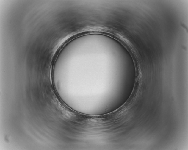 X0000099561272200805301534