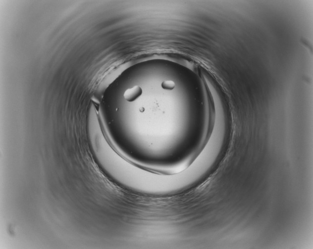 X0000099561273200805301534