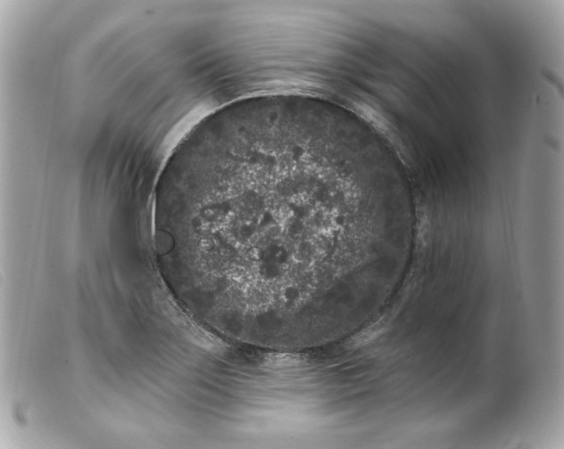 X0000099561275200805301534