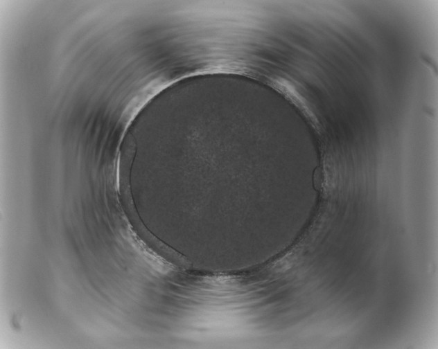 X0000099561276200805301534