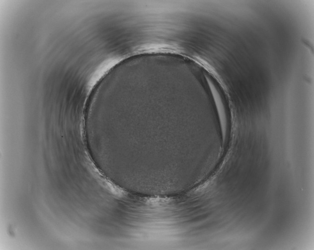 X0000099561277200805301534