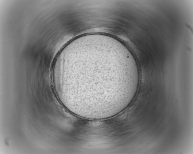 X0000099561278200805301534