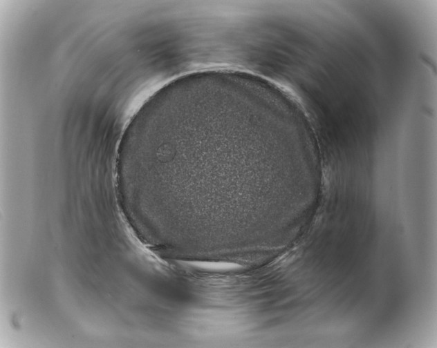 X0000099561279200805301534