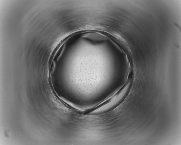 X0000099561280200805301534