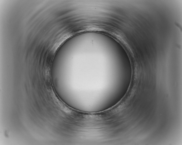 X0000099561281200805301534