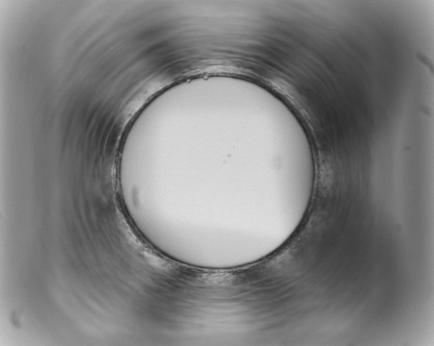 X0000099561282200805301534