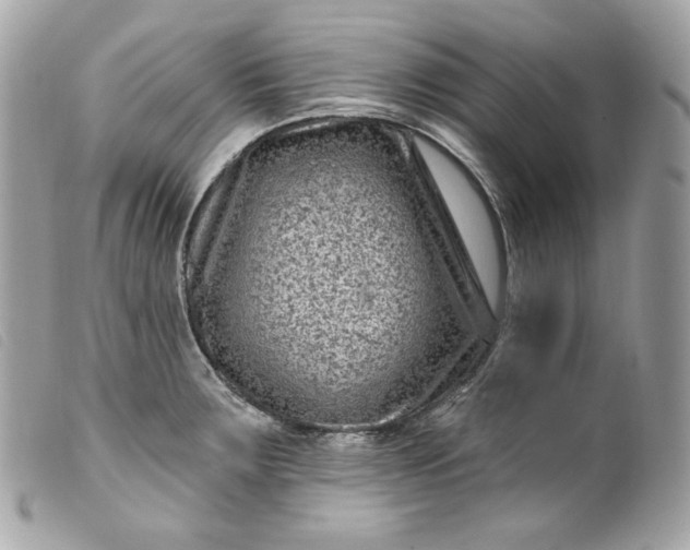 X0000099561283200805301534