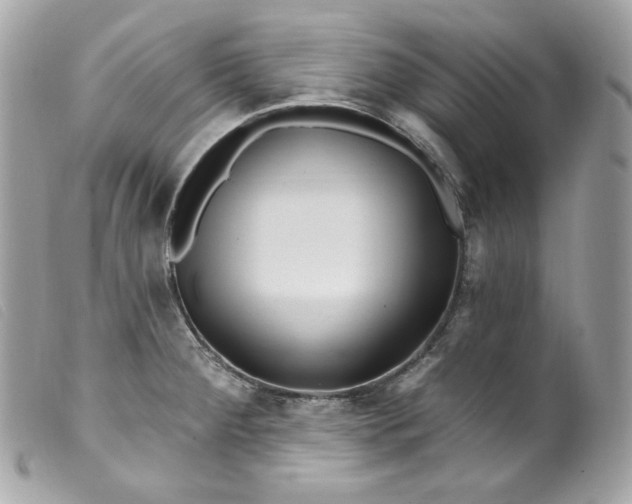 X0000099561284200805301534