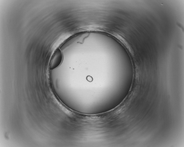 X0000099561285200805301534