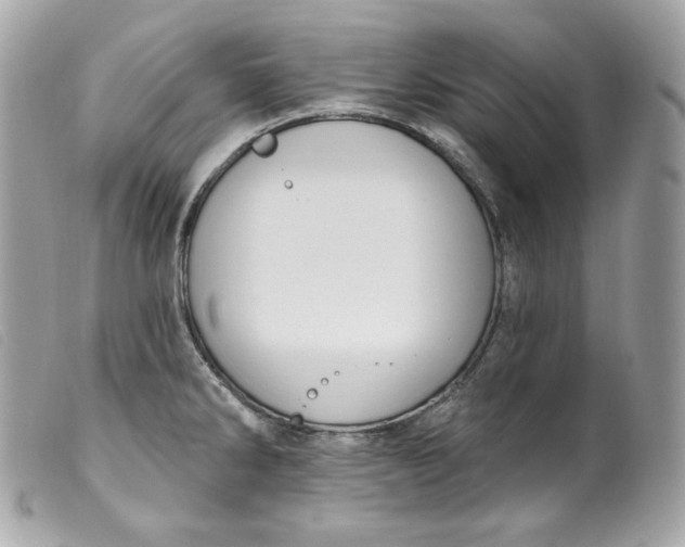 X0000099561286200805301534