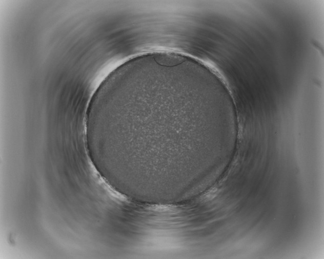 X0000099561287200805301534