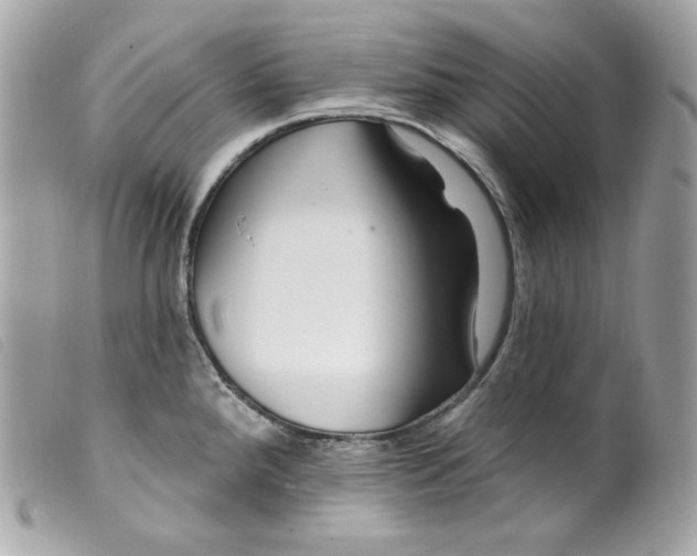 X0000099561288200805301534