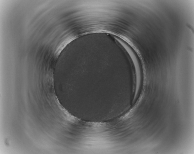 X0000099561289200805301533