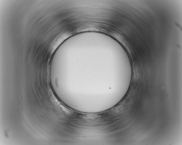 X0000099561290200805301533