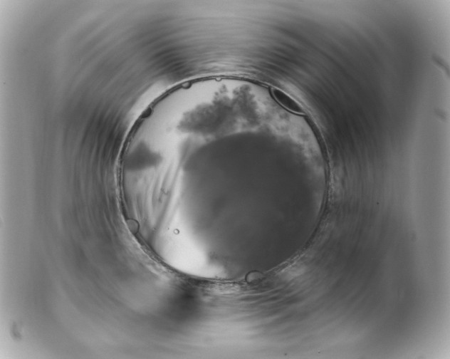 X0000099561291200805301533