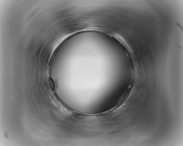 X0000099561292200805301533