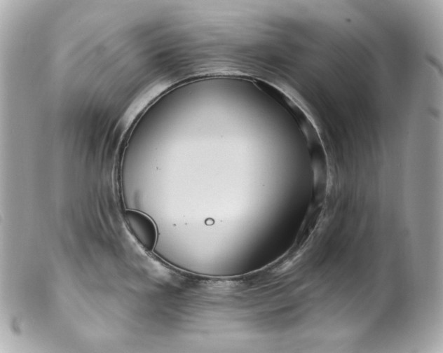 X0000099561293200805301533