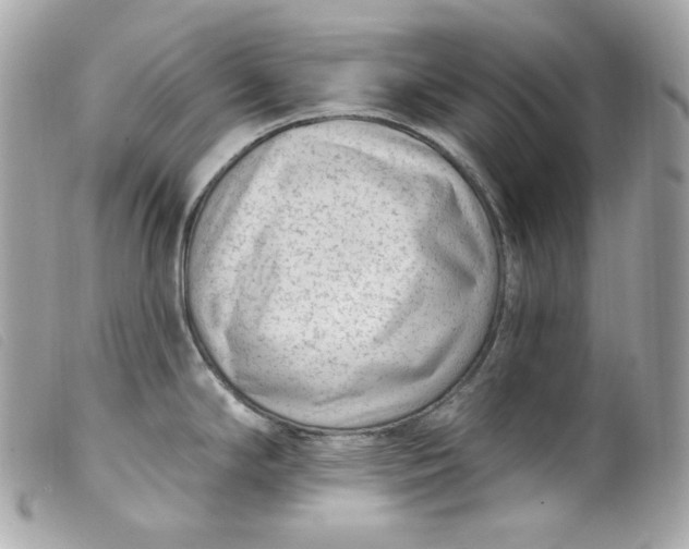 X0000099561294200805301533