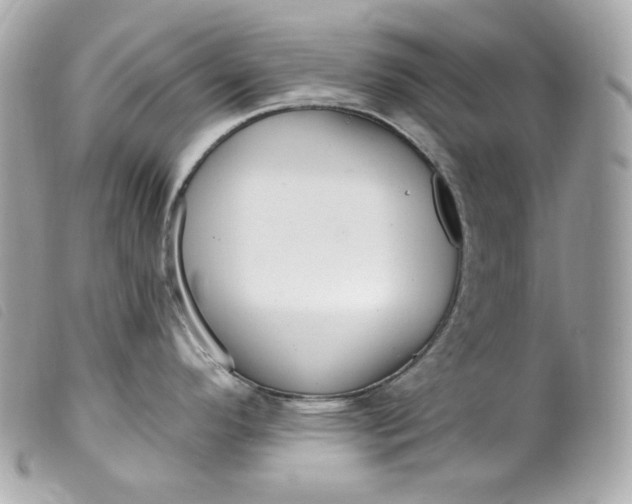 X0000099561296200805301533