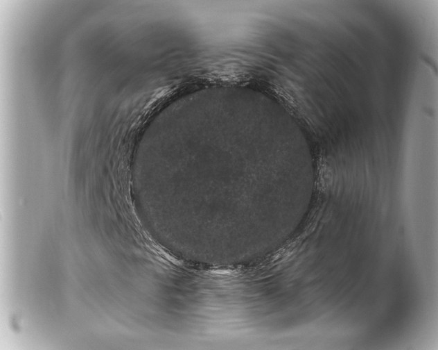 X0000099561297200805301533