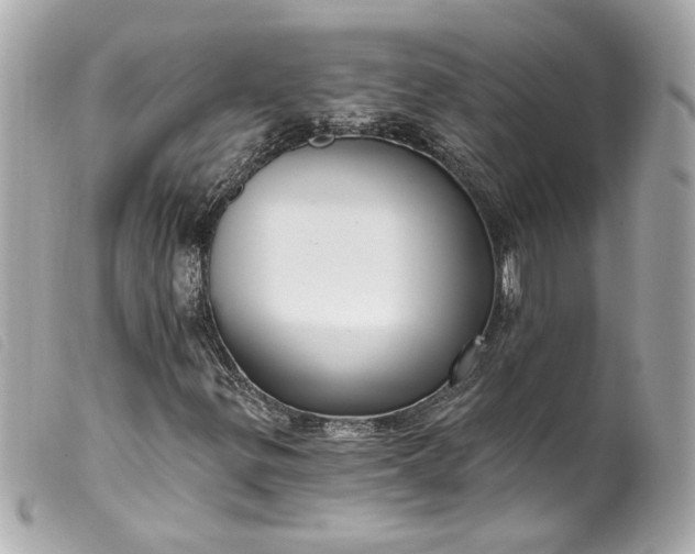 X0000099561299200805301533