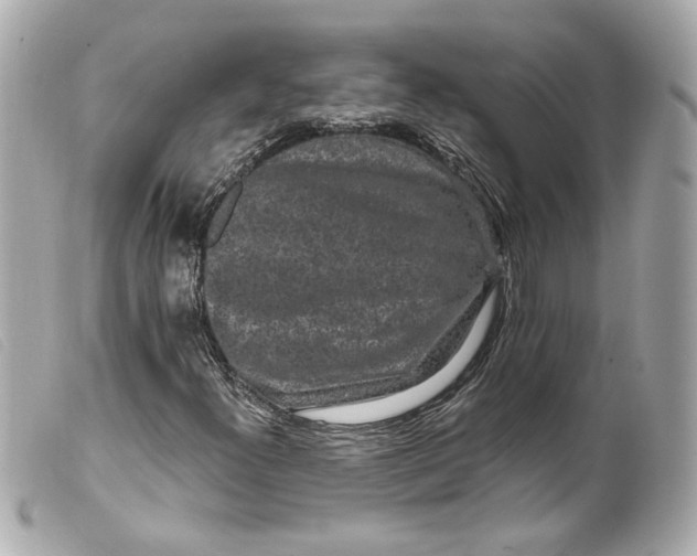 X0000099561300200805301533