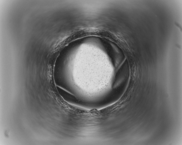 X0000099561301200805301533