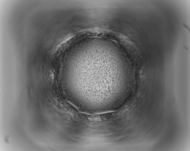 X0000099561302200805301533