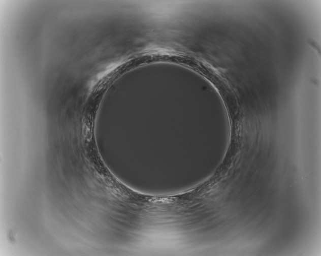 X0000099561303200805301533