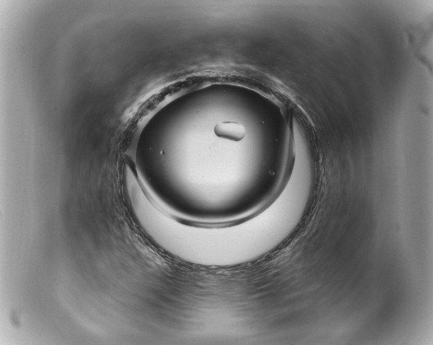 X0000099561304200805301533