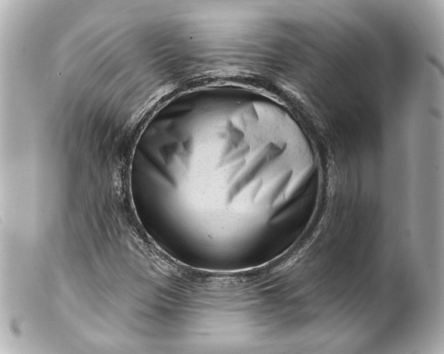 X0000099561305200805301533