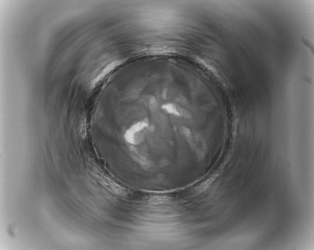 X0000099561306200805301533